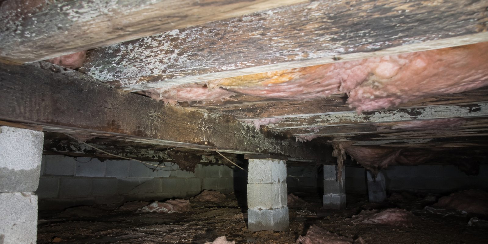 Mold growth on floor joists in a damp crawl space in Huntsville, Alabama